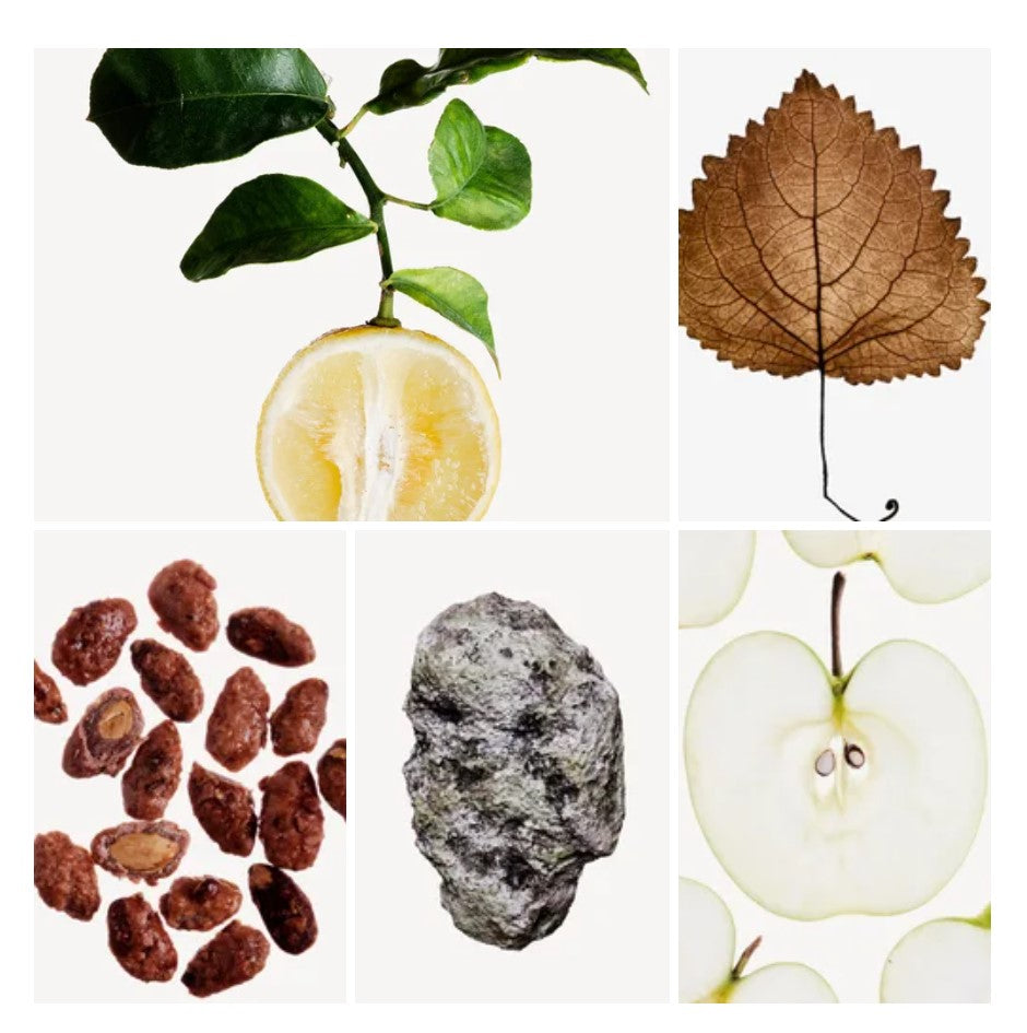 Nisreen fragrance styled with notes of apple, rose, and patchouli