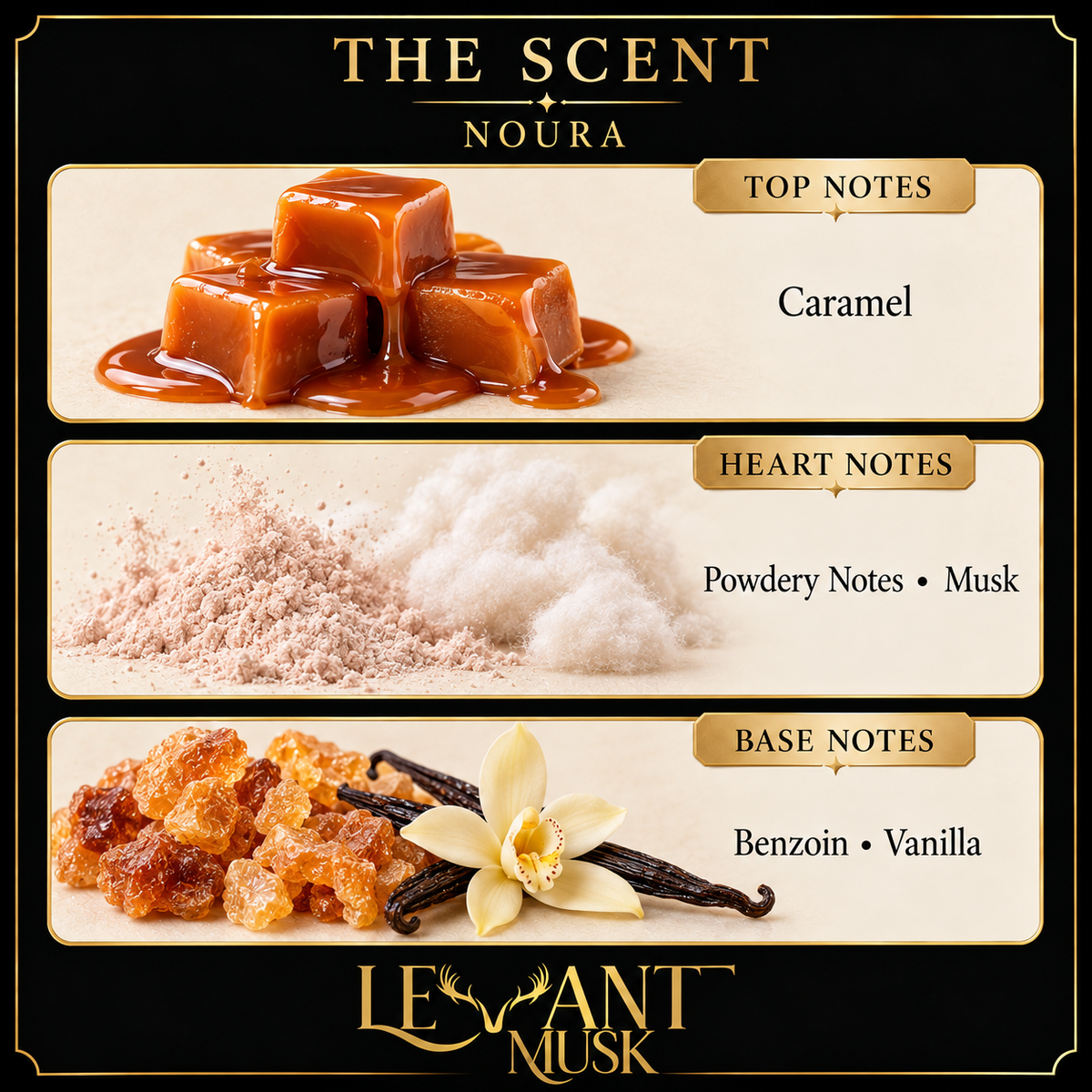 NOURA by Levant Musk, exact fragrance notes card