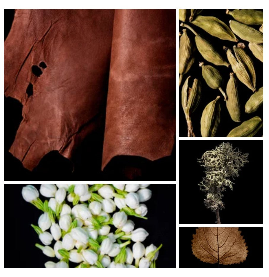 Qamar fragrance styled with notes of cardamom, black leather, and amber