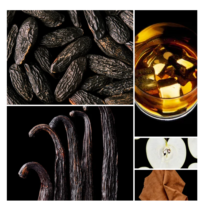 Raja fragrance styled with notes of green mandarin, orange blossom, and tonka bean