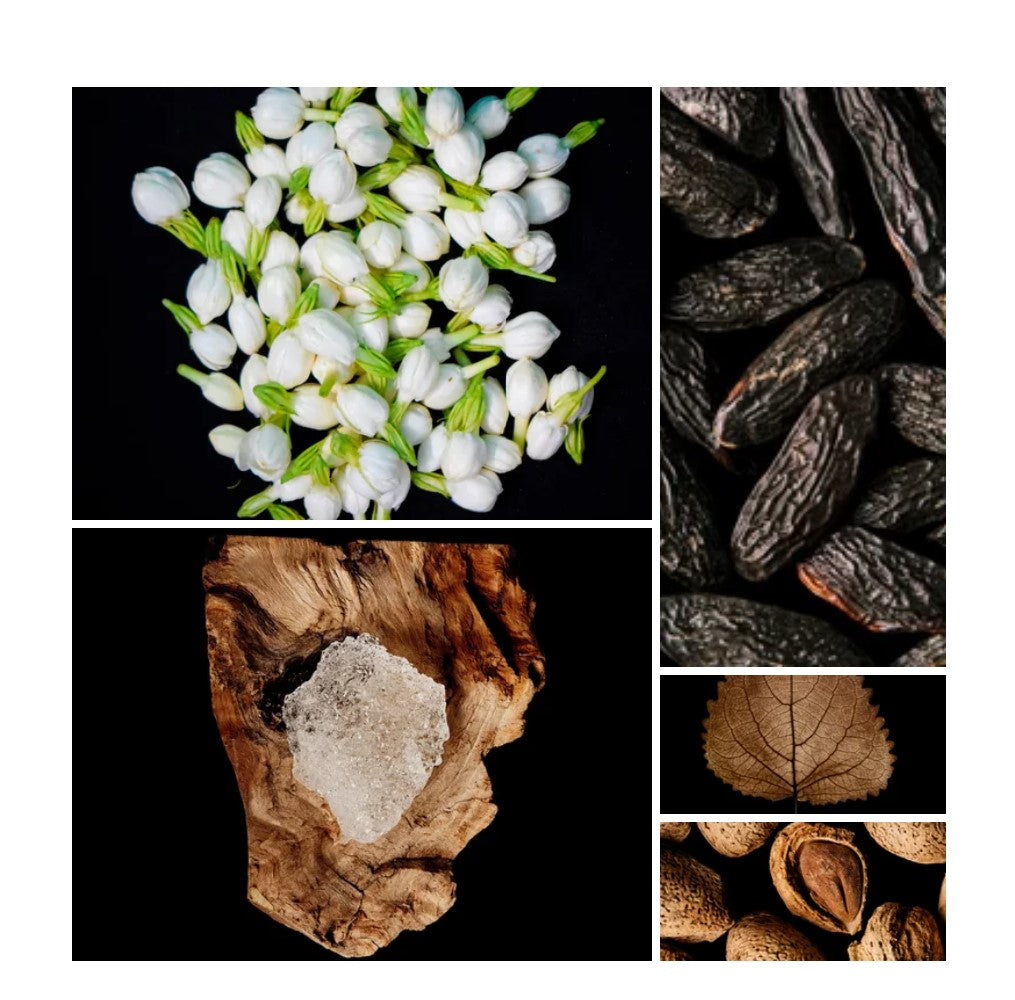 Rama fragrance styled with notes of gardenia, jasmine sambac, and tonka bean