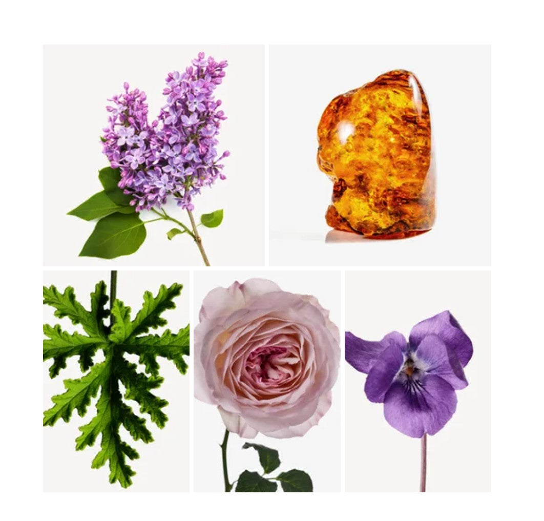 Rania fragrance styled with notes of pink pepper, lilac, and white musk
