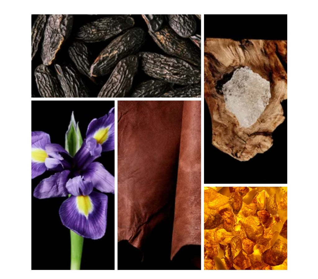 Rasha fragrance styled with notes of clary sage, bitter almond, and tonka bean