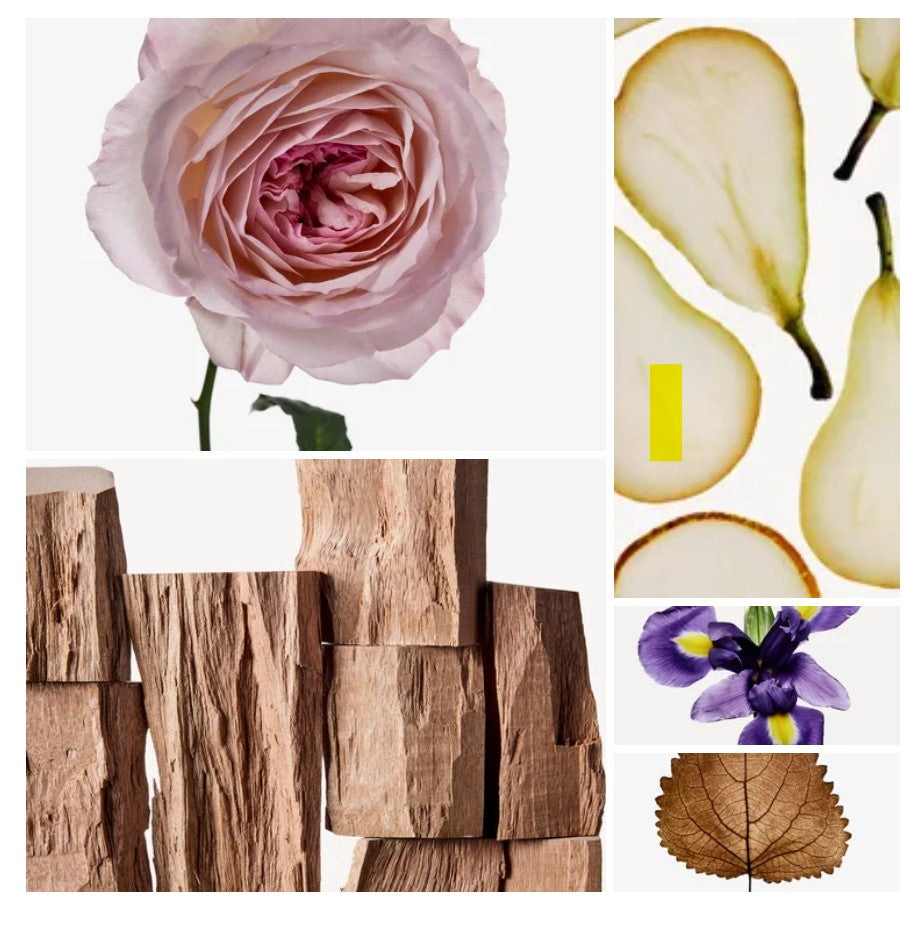 Razan fragrance styled with notes of sparkling pear, rose, and virginia cedar
