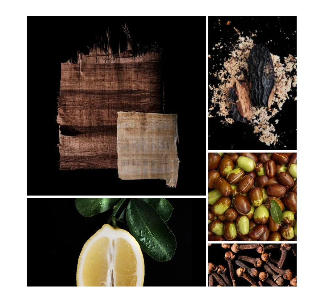 Rihan fragrance styled with notes of fresh green facets, papyrus, and dry smoky woods