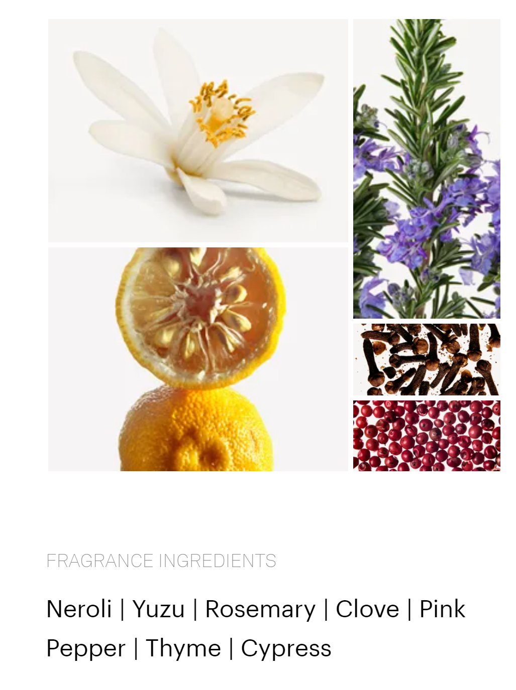 Saba fragrance styled with notes of yuzu, thyme, and cypress