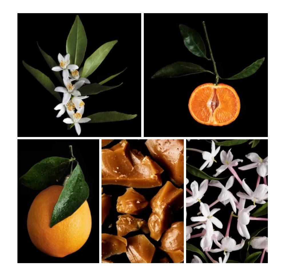 Saja fragrance styled with notes of mandarin, caramel, and cedarwood