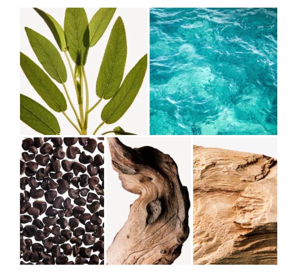 Saly fragrance styled with notes of ambrette seed, sea salt, and sage