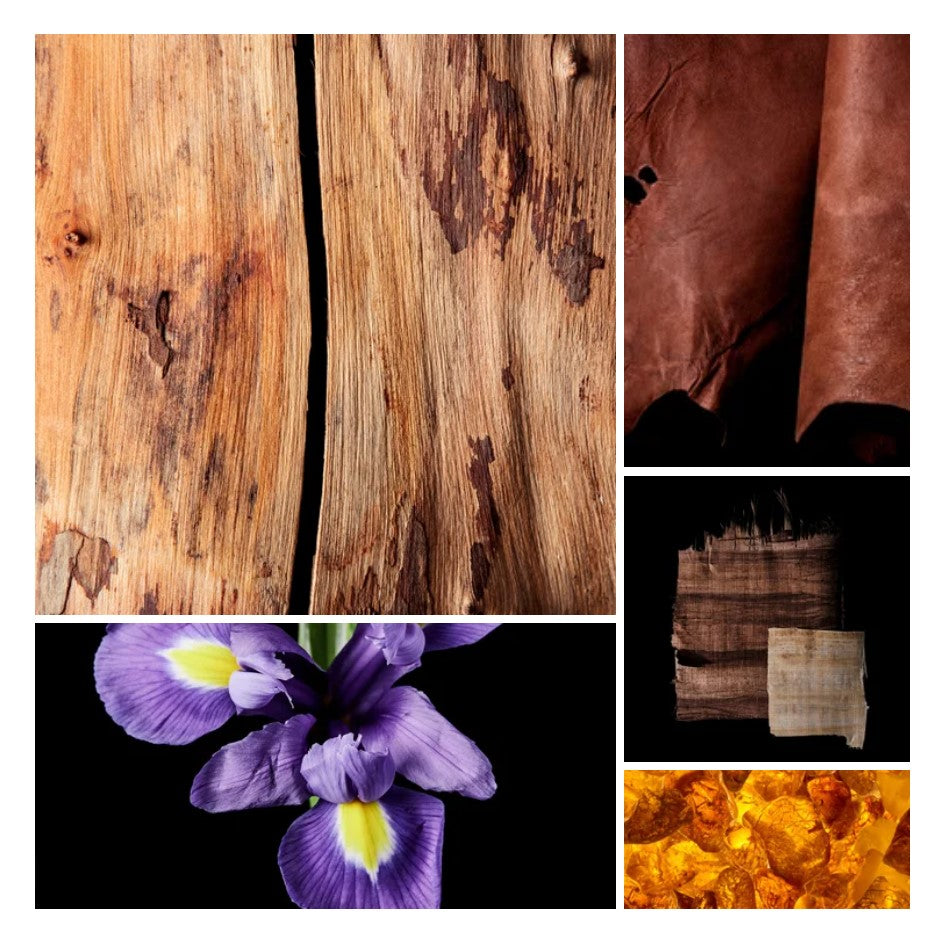 Sana fragrance styled with notes of violet accord, iris, and sandalwood