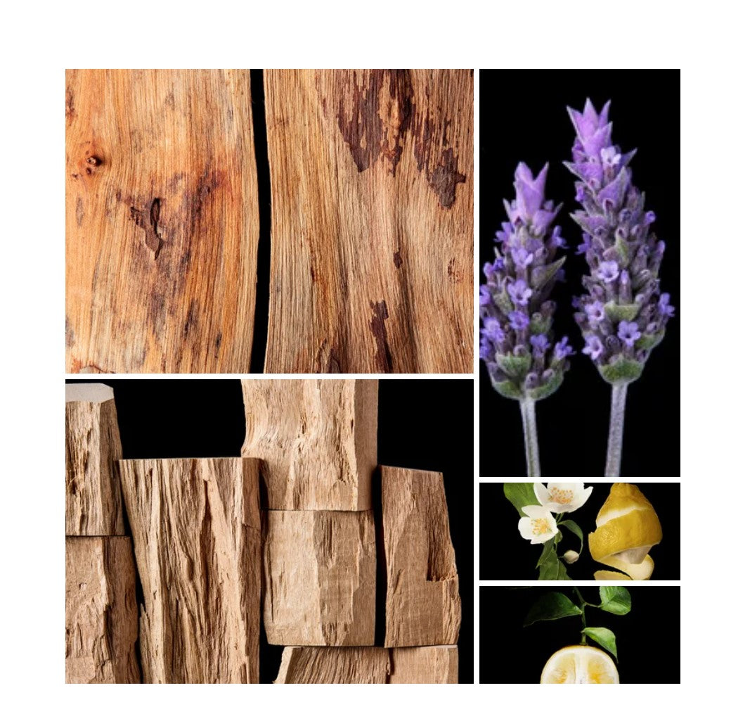 Seham fragrance styled with notes of lavender, cedarwood, and sandalwood