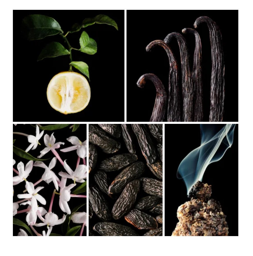 Shaima fragrance styled with notes of bergamot, iris, and vanilla