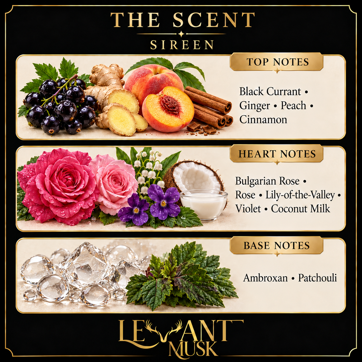 SIREEN by Levant Musk, exact fragrance notes card