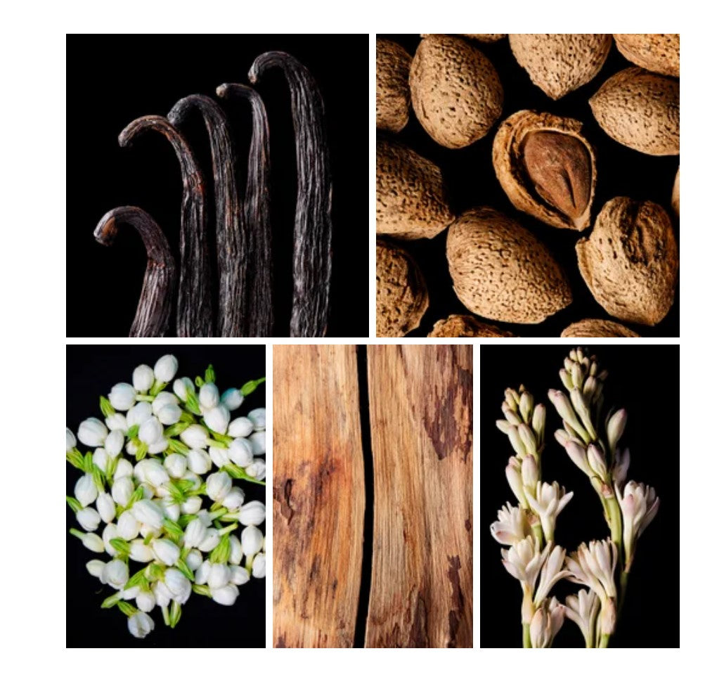 Suha fragrance styled with notes of bitter almond, jasmine sambac, and vanilla
