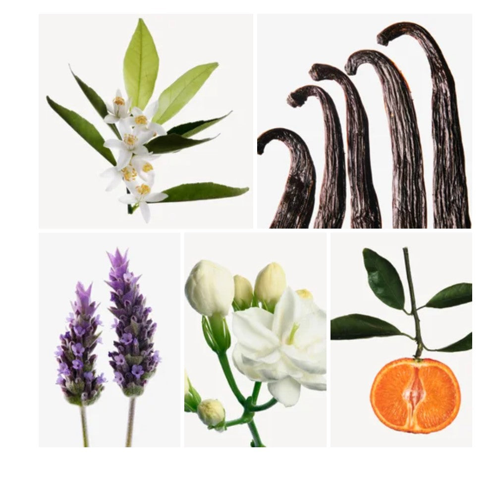 Sulaf fragrance styled with notes of lavender, orange blossom, and madagascar vanilla