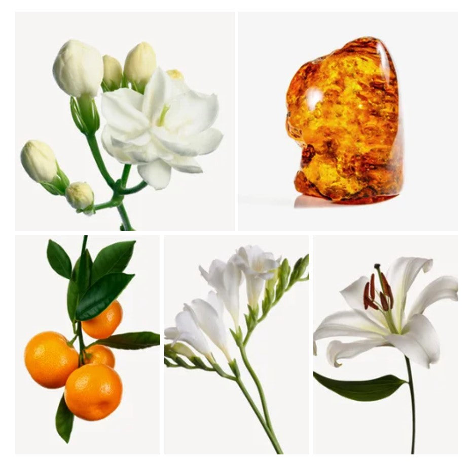 Suzan fragrance styled with notes of tangerine, lily, and soft amber