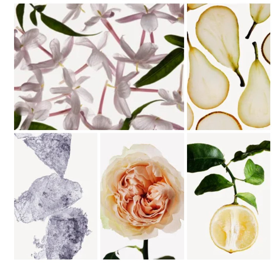 Talia fragrance styled with notes of bergamot, isparta rose, and white musk