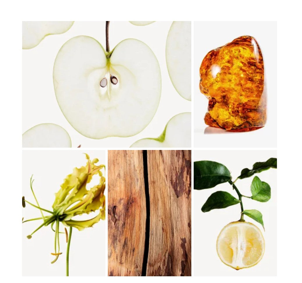 Tamara fragrance styled with notes of green apple, rose, and sandalwood