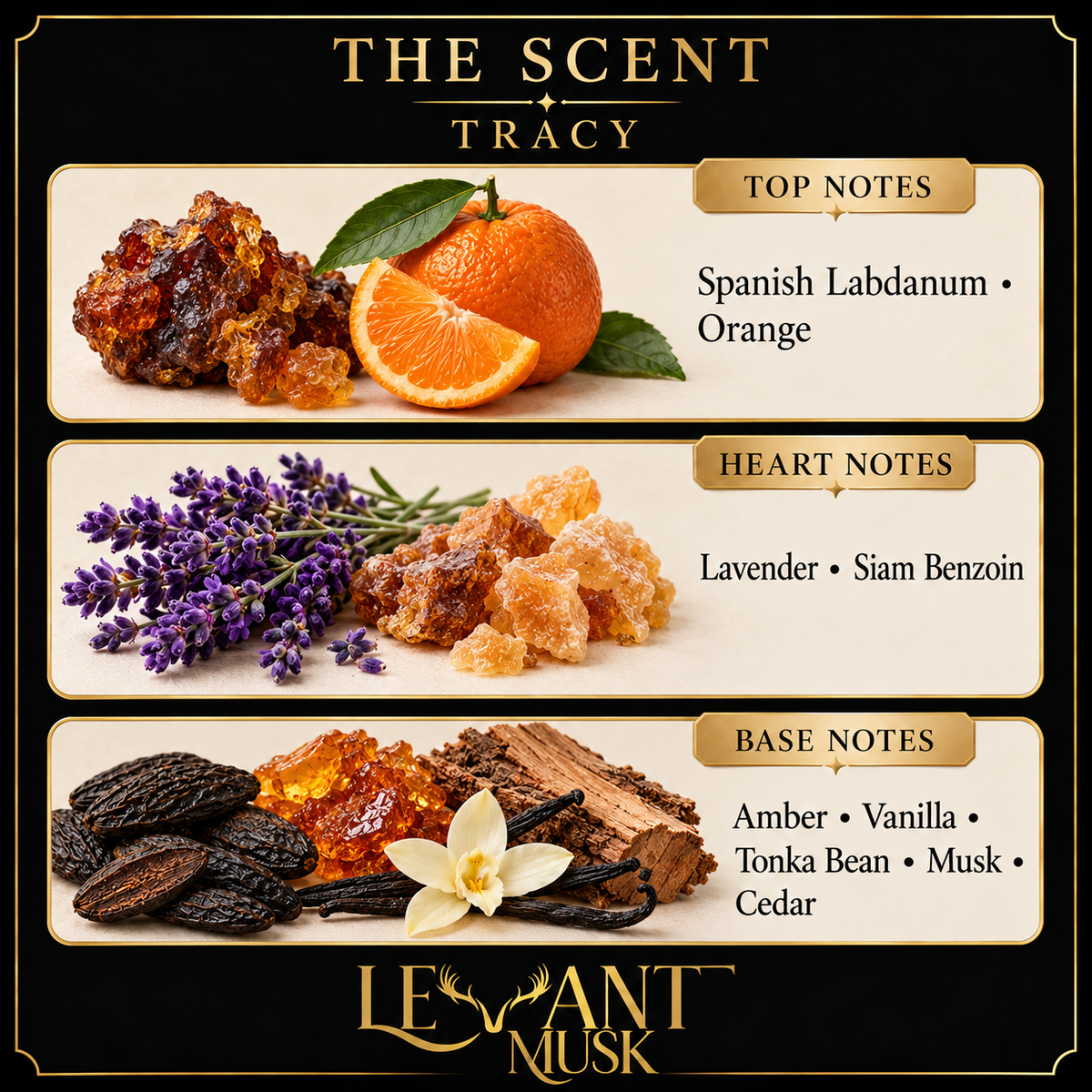 TRACY by Levant Musk, exact fragrance notes card