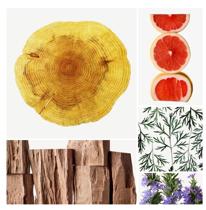Waheed fragrance styled with notes of grapefruit, cardamom, and patchouli