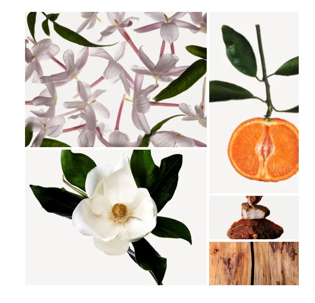 Zahra fragrance styled with notes of italian mandarin, jasmine, and benzoin