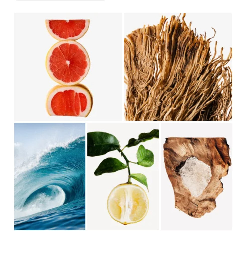 Zaid fragrance styled with notes of grapefruit, ozonic notes, and vetiver